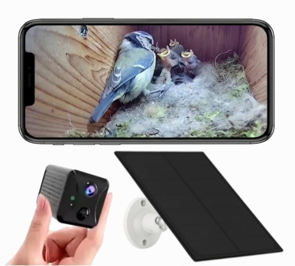 PeekWild Solar WiFi Birdhouse Camera with solar panel and phone showing live nest view