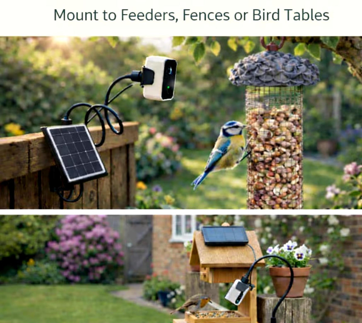 Bird feeder camera mounted beside a feeder and on a backyard bird table