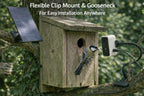 Camera with flexible clip mount and gooseneck fitted beside a birdhouse