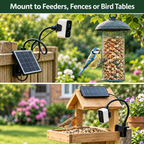 PeekWild Solar WiFi Birdhouse Entrance Camera