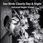 PeekWild Solar WiFi Birdhouse Entrance Camera