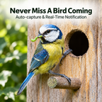 PeekWild Solar WiFi Birdhouse Entrance Camera
