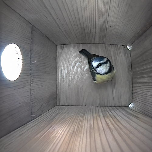 PeekWild Smart Birdhouse with 5MP WiFi Camera