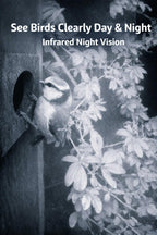 Infrared night vision view of a bird at a birdhouse entrance