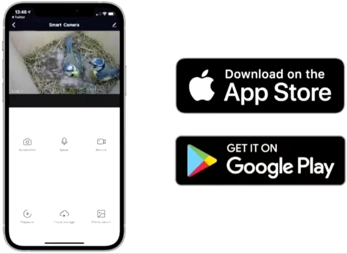 PeekWild app showing a live nest view, available on the App Store and Google Play