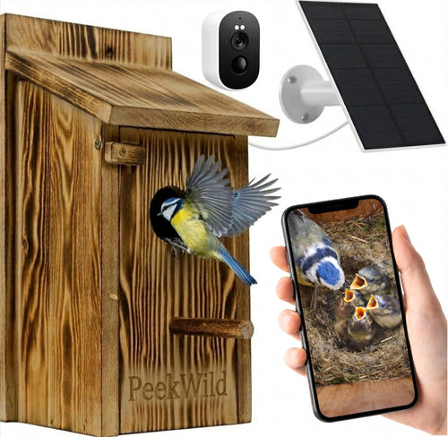 PeekWild Smart Birdhouse with 5MP WiFi Camera in carbonized pine, with camera, solar panel and phone