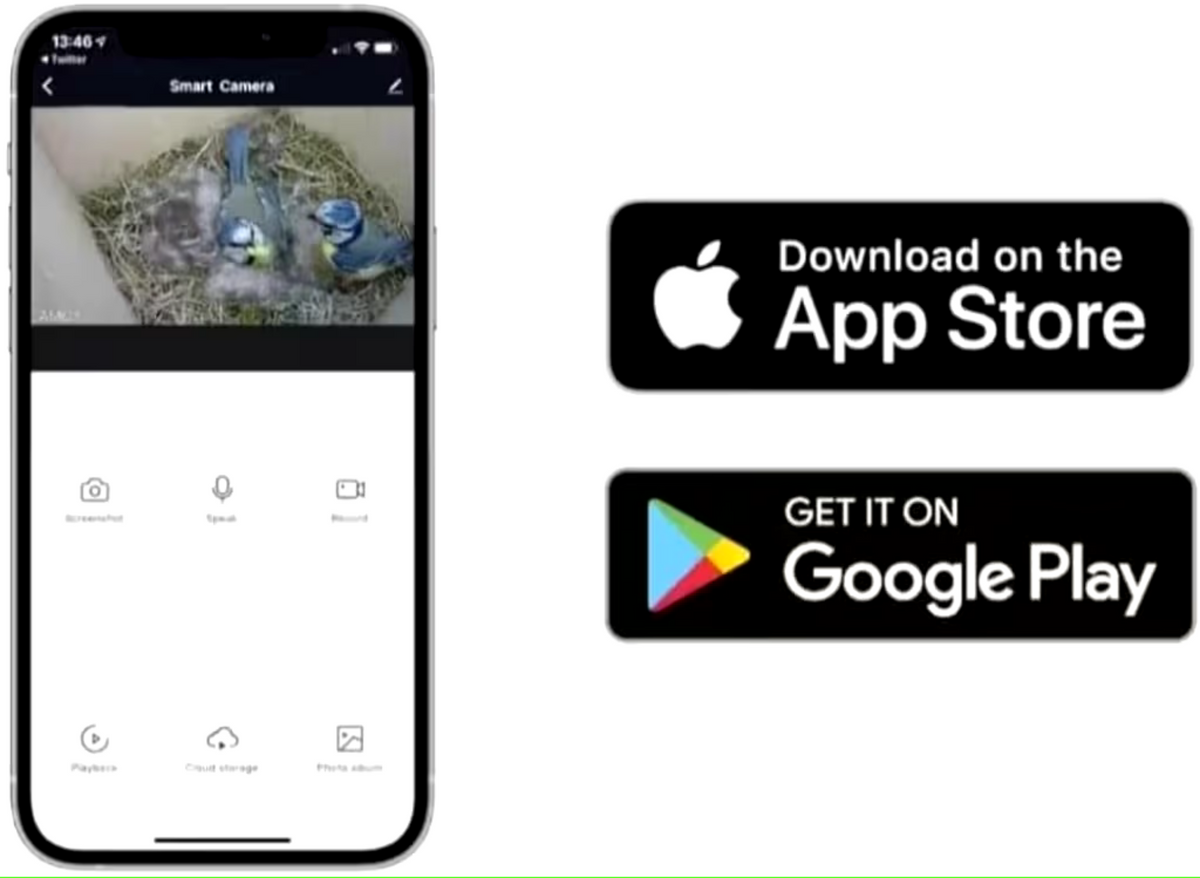 PeekWild app live view on a phone, available on the App Store and Google Play