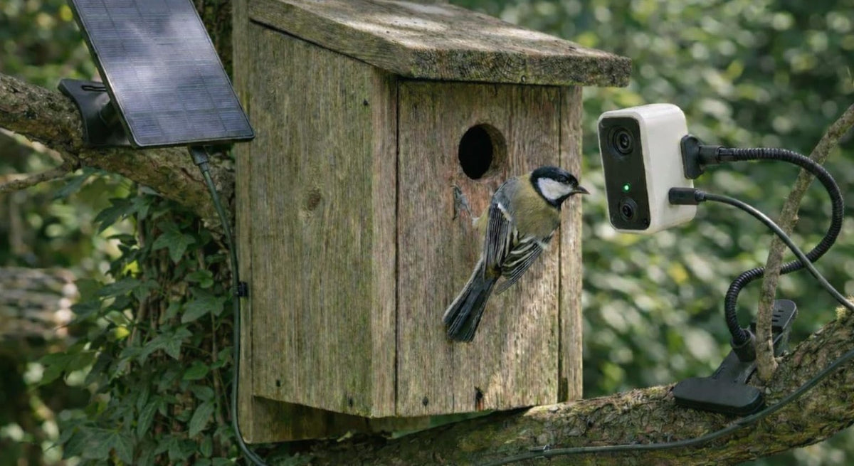 Clip-mounted camera on a flexible gooseneck beside a wooden birdhouse as a bird lands at the entrance