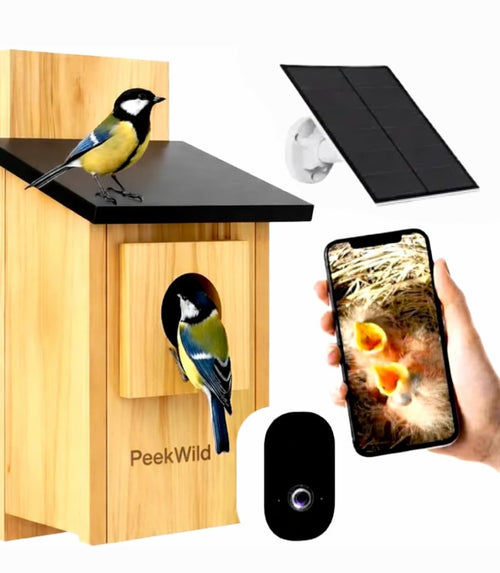 PeekWild Smart Birdhouse with 5MP Camera, solar panel and phone showing chicks in the nest