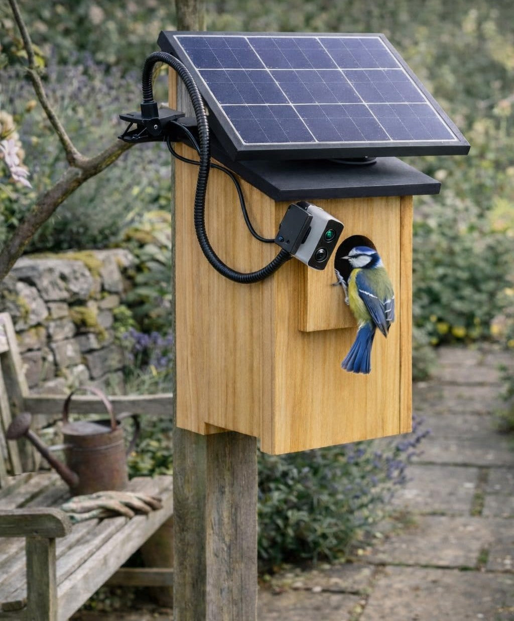 PeekWild entrance camera with solar panel fitted to a wooden birdhouse as a blue tit lands