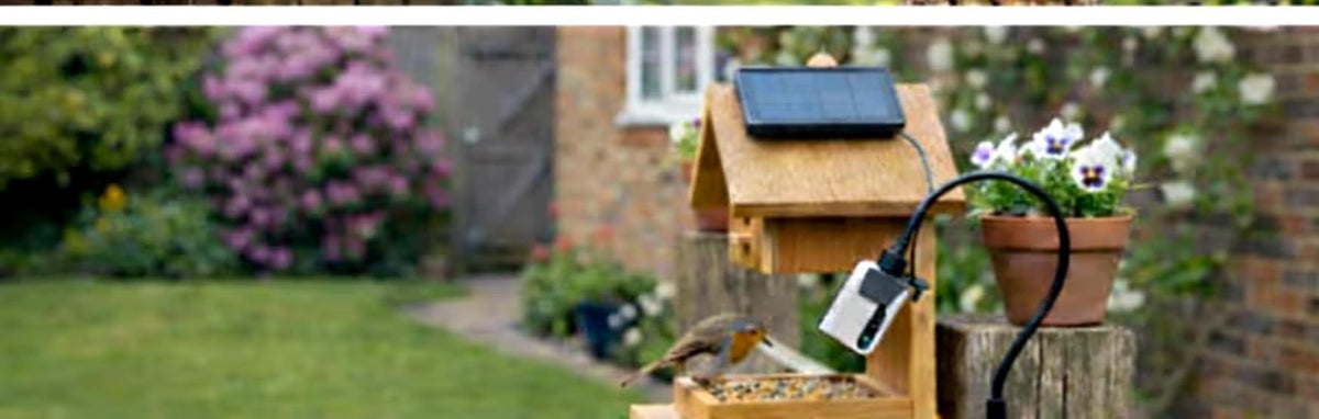 Feeder camera on a flexible gooseneck clipped beside a bird table in a backyard