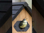 PeekWild Solar WiFi Birdhouse Entrance Camera video