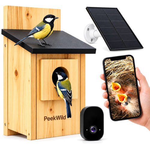 PeekWild Smart Birdhouse with 5MP Camera, solar panel and phone showing chicks in the nest