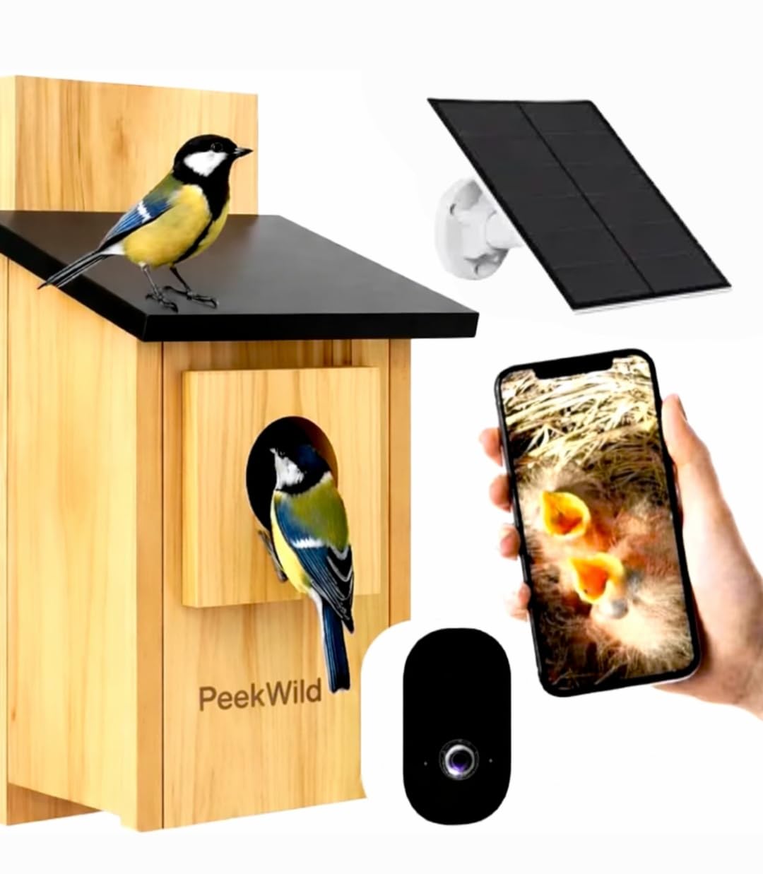 PeekWild Smart Birdhouse with built-in camera, solar panel and live view on a phone