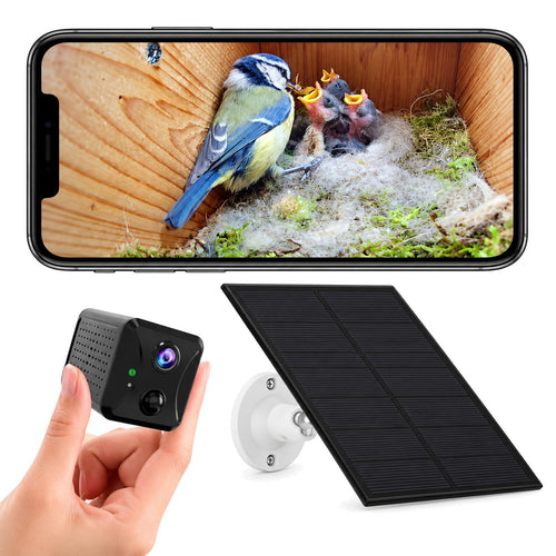 PeekWild Solar WiFi Birdhouse Camera with solar panel and phone showing live nest view